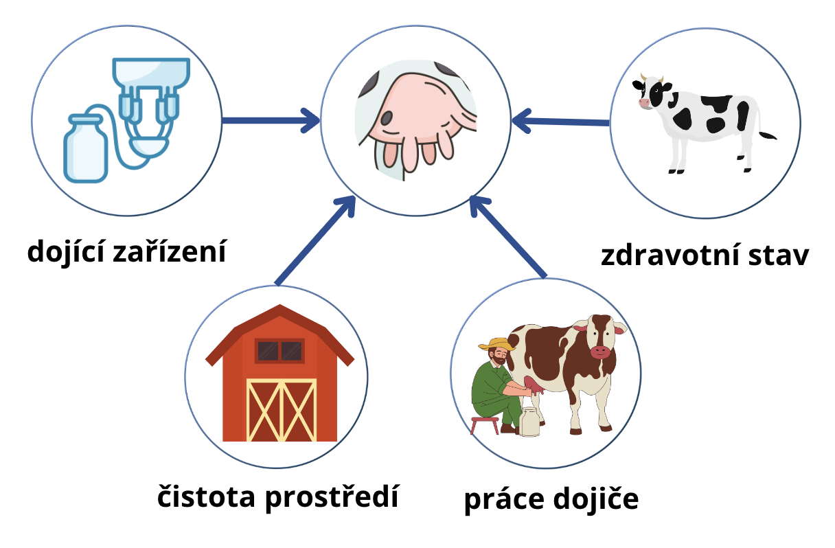 Faktory pro vznik mastitidy skotu